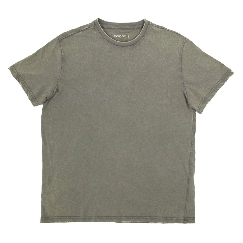 REMERA DEMIAN GRIS