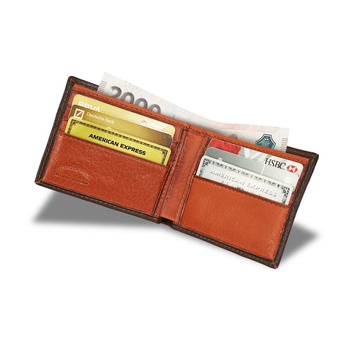 BILLETERA ALDO CHOCOLATE