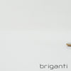 ZAPATILLA MANHATTAN BLANCA